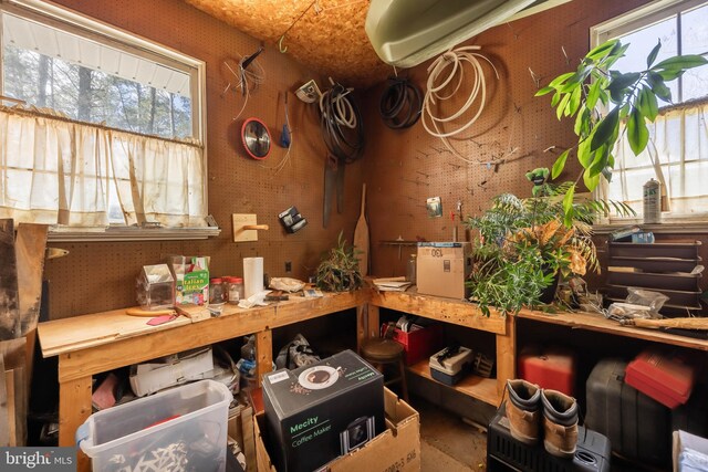 1036 S Schumaker Dr, Salisbury, MD 21804 - view of storage room