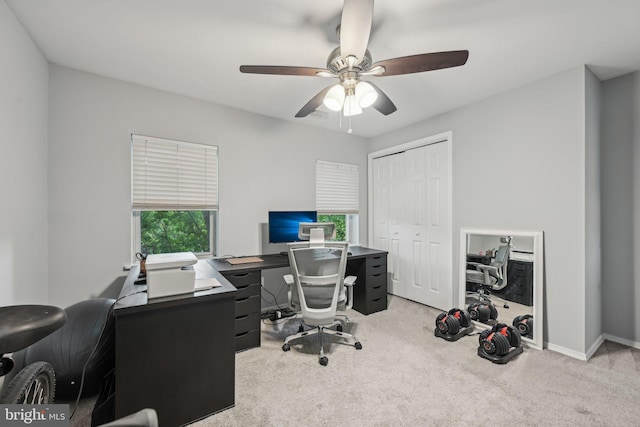 935 S Kenwood Ave, Baltimore, MD 21224 - carpeted office space with a ceiling fan