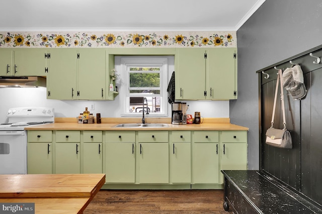 13 Ash Dr, Knoxville, MD 21758 - kitchen featuring ornamental molding, a sink, dark wood-type flooring, under cabinet range hood, and electric stove