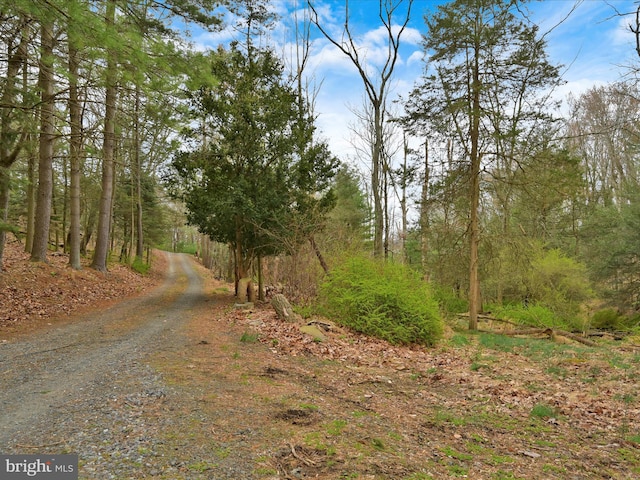 0 Little Mountain Rd, Orwigsburg, PA 17961