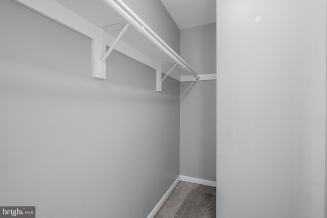 3580 Diamond Point Mews, Dumfries, VA 22026 - spacious closet with carpet floors
