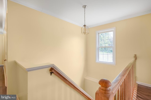 3580 Diamond Point Mews, Dumfries, VA 22026 - stairway with baseboards, wood finished floors, and ornamental molding