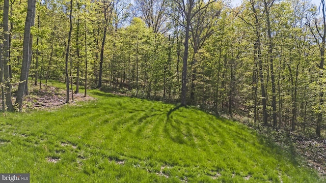 view of yard featuring a view of trees