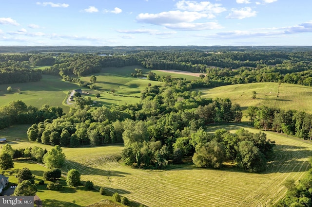 bird's eye view with a wooded view