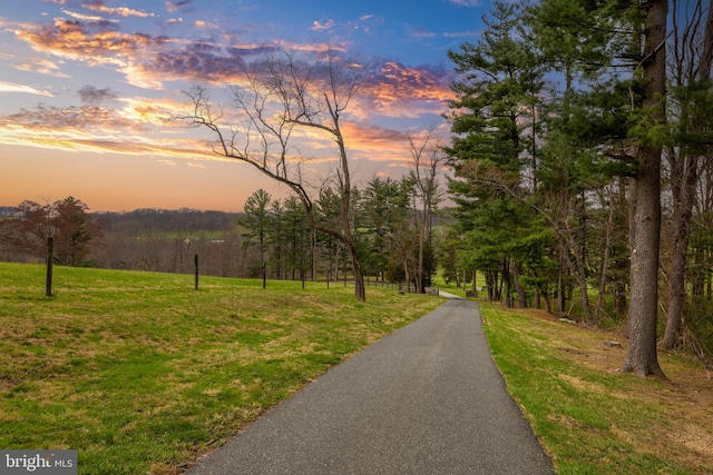 view of street featuring a wooded view