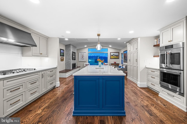 kitchen featuring wall chimney range hood, appliances with stainless steel finishes, vaulted ceiling, and dark wood-style floors