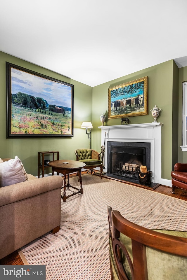 living area featuring wood finished floors and a fireplace with raised hearth