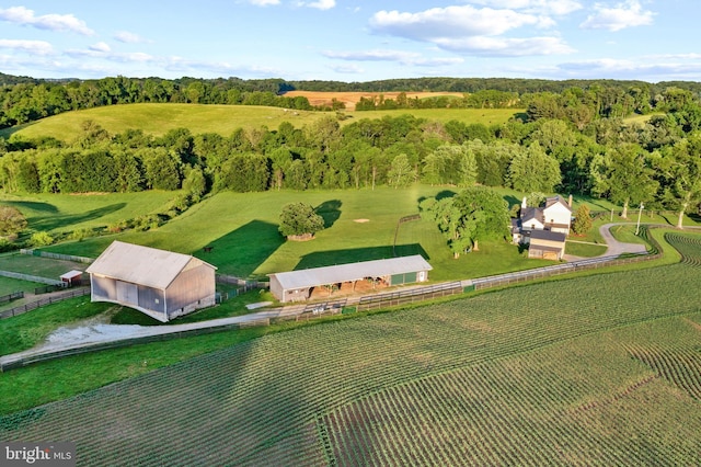 aerial view