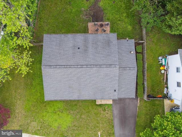 bird's eye view
