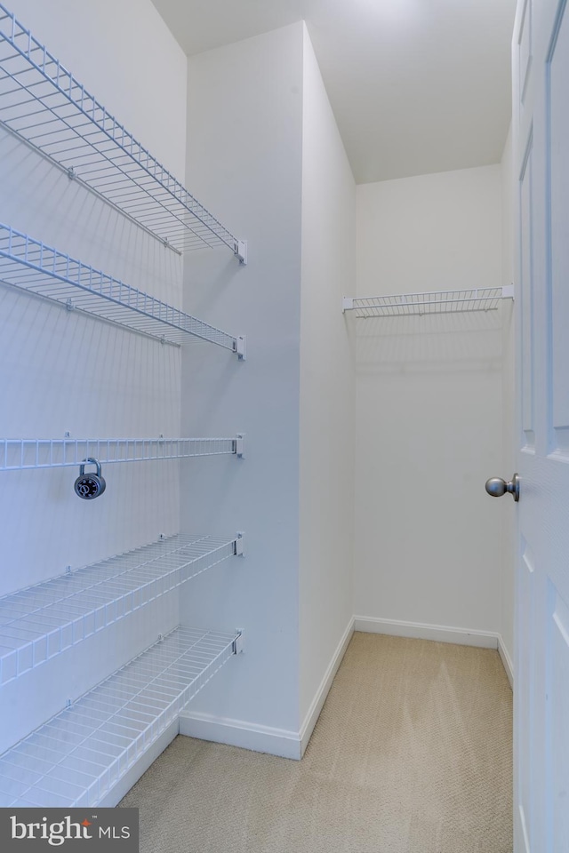 25672 Pleasant Valley Rd, Chantilly, VA 20152 - walk in closet featuring carpet