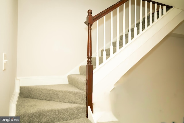 staircase with carpet flooring