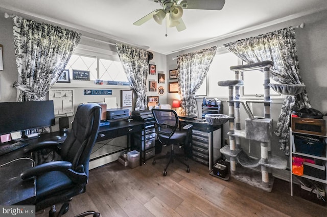 213 Stump Rd, North Wales, PA 19454 - home office featuring ceiling fan, wood-type flooring, and ornamental molding