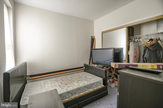carpeted bedroom with multiple windows and a closet