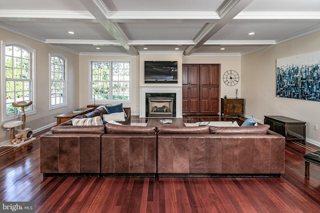 living area featuring a wealth of natural light, coffered ceiling, a high end fireplace, and dark wood finished floors
