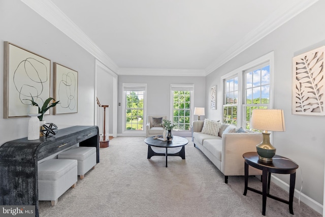 5325 Sandy Point Ln, Clifton, VA 20124 - living area with crown molding, carpet flooring, and baseboards
