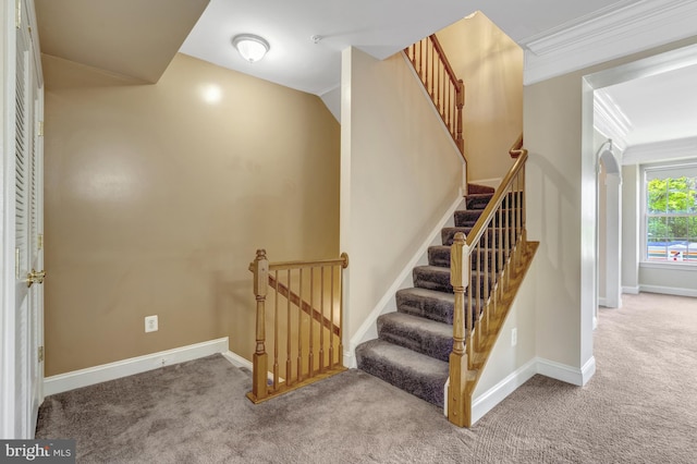 staircase featuring carpet floors, baseboards, and crown molding