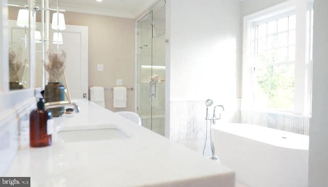 4817 Rodman St NW, Washington, DC 20016 - bathroom with a shower stall, a soaking tub, and vanity
