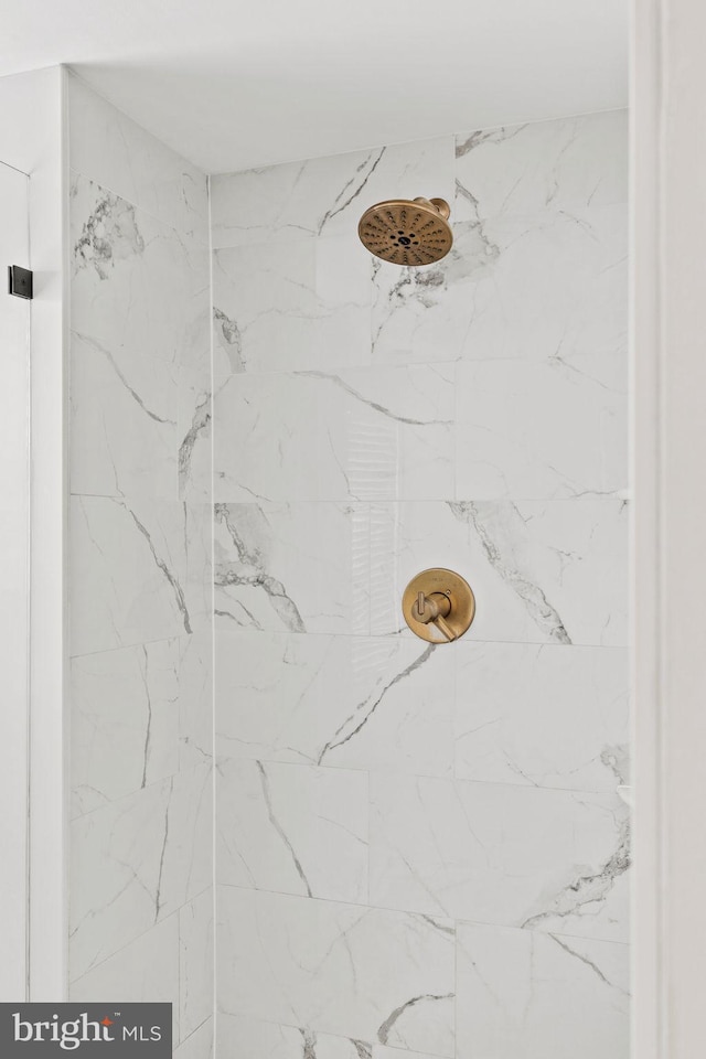 interior details with a shower