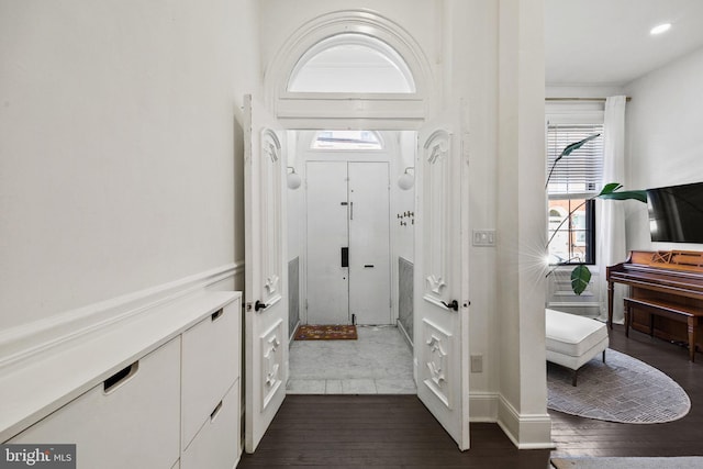 entrance foyer with dark wood-type flooring