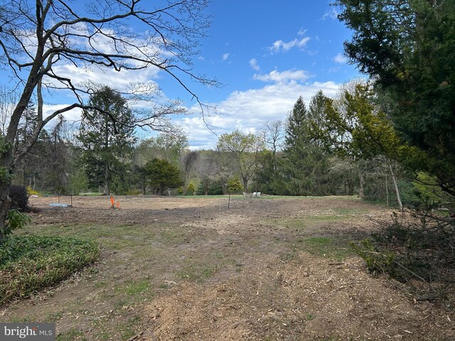 17 Hickory Ln, Malvern, PA 19355 - view of yard featuring a view of trees