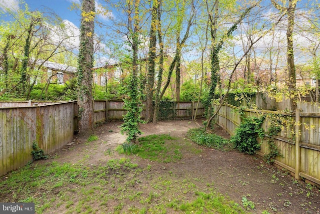 view of yard featuring a fenced backyard