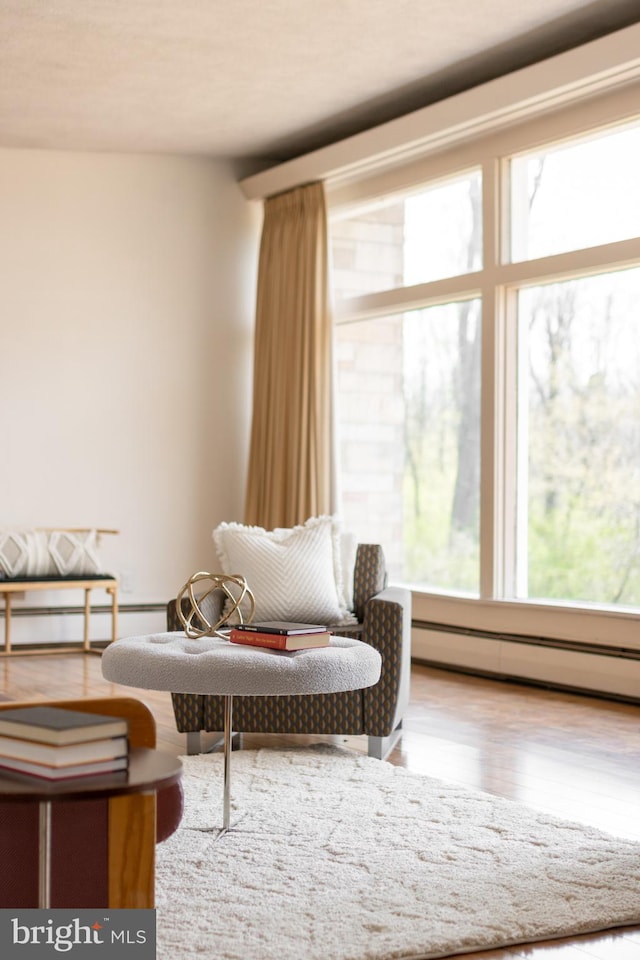 living area featuring baseboard heating, wood finished floors, and plenty of natural light