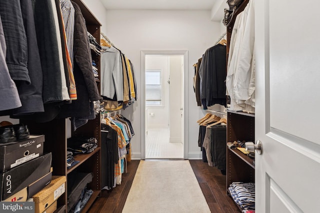walk in closet featuring dark wood-style flooring