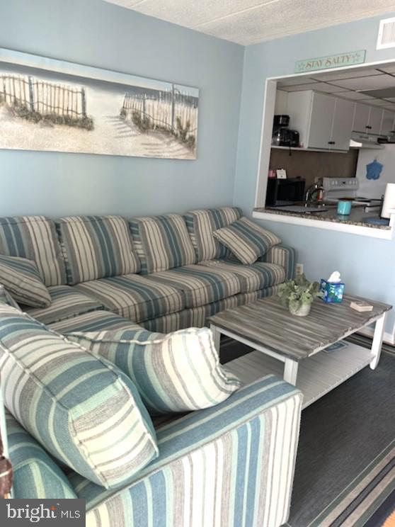 504 E 17th Ave Unit 206, Wildwood, NJ 08260 - living room featuring visible vents