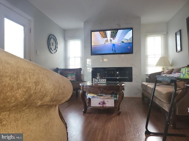 living area featuring wood finished floors
