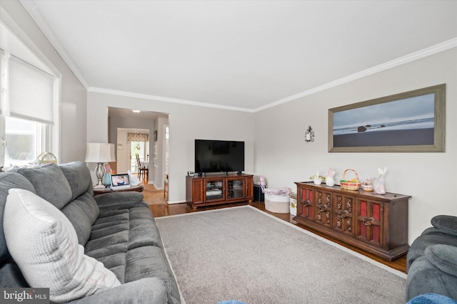 living area with wood finished floors and ornamental molding