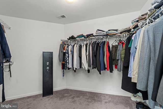 spacious closet with carpet flooring