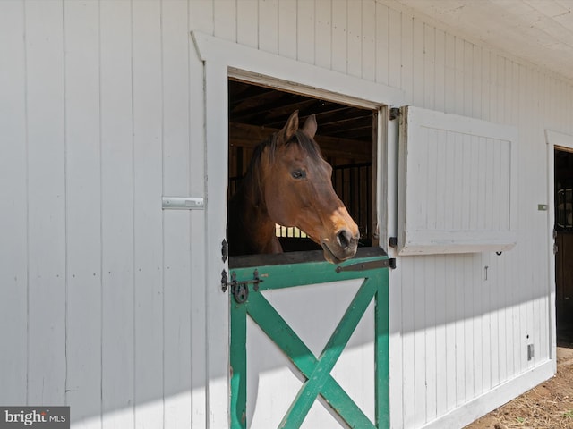 view of horse barn