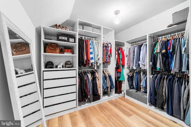 25 Blueberry Run, Southampton, NJ 08088 - walk in closet with vaulted ceiling and wood finished floors