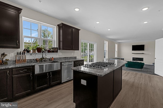 kitchen with a sink, stainless steel appliances, dark stone counters, and wood finished floors