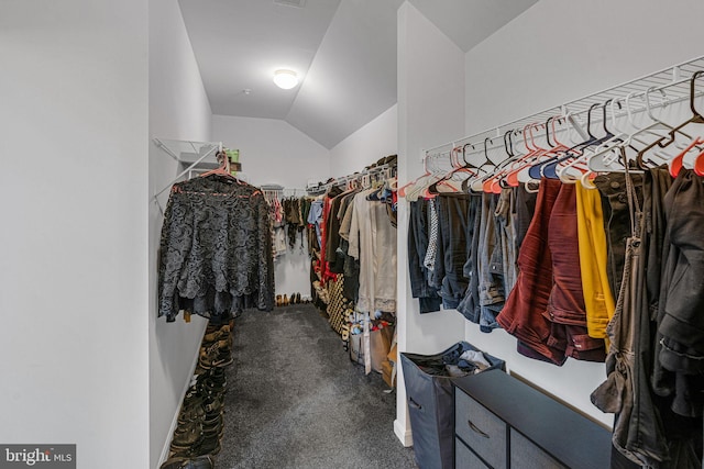 spacious closet with lofted ceiling