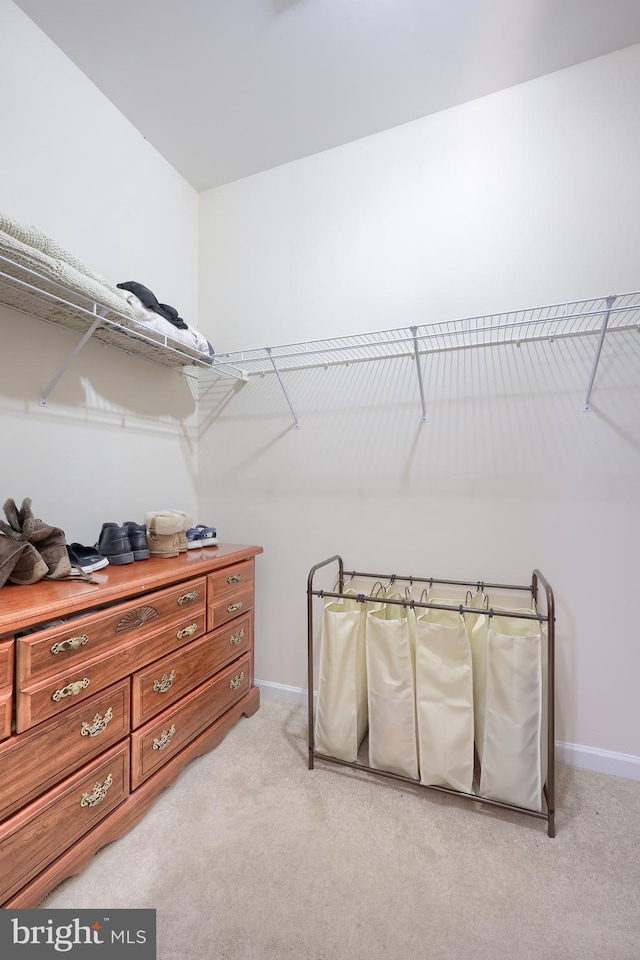 walk in closet with light colored carpet