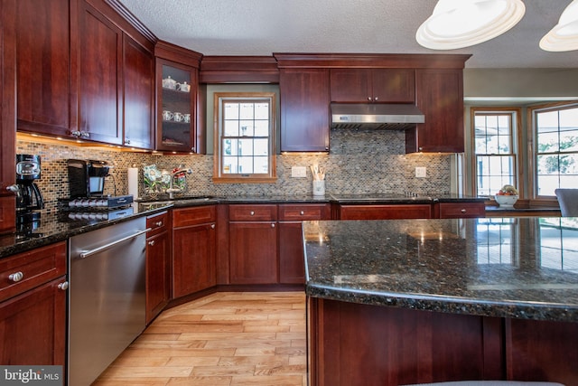 kitchen featuring stainless steel dishwasher, under cabinet range hood, light wood-style flooring, and a wealth of natural light