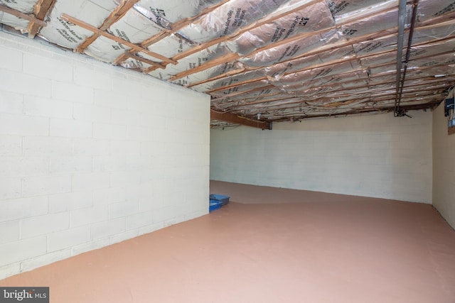 unfinished below grade area featuring concrete block wall