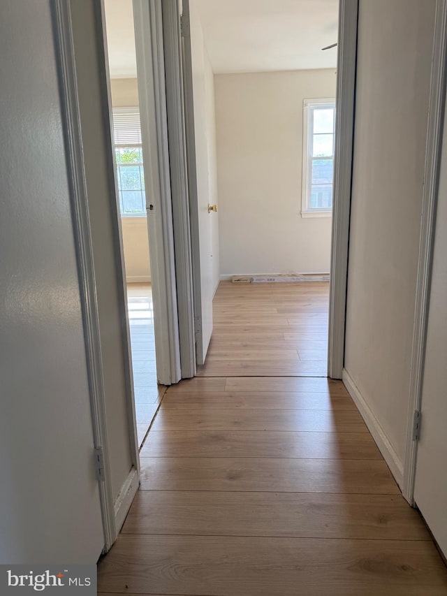 7601 Somerset Ln, Manassas, VA 20111 - corridor with light wood-type flooring and baseboards