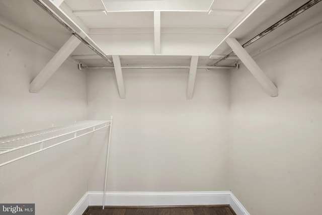 spacious closet with wood finished floors