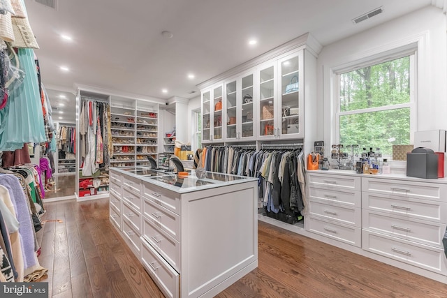 spacious closet with hardwood / wood-style floors
