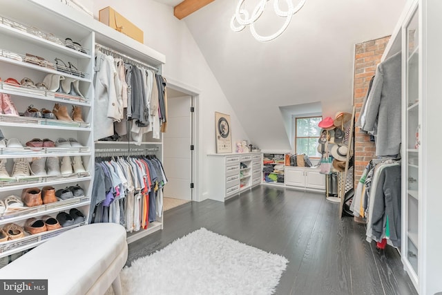 spacious closet featuring dark wood-style flooring