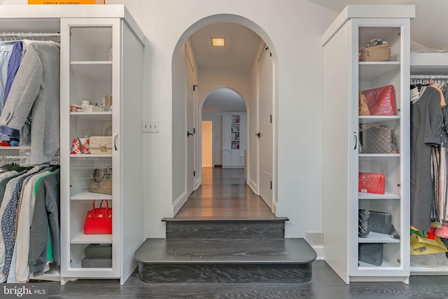 spacious closet featuring arched walkways
