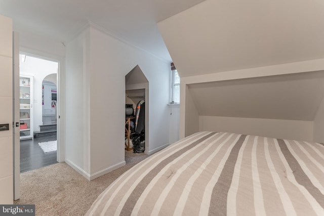 unfurnished bedroom with arched walkways, a walk in closet, a closet, carpet, and lofted ceiling