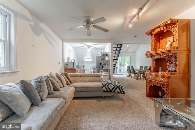 carpeted living area with ceiling fan and rail lighting