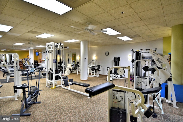 gym featuring carpet, a drop ceiling, and ceiling fan