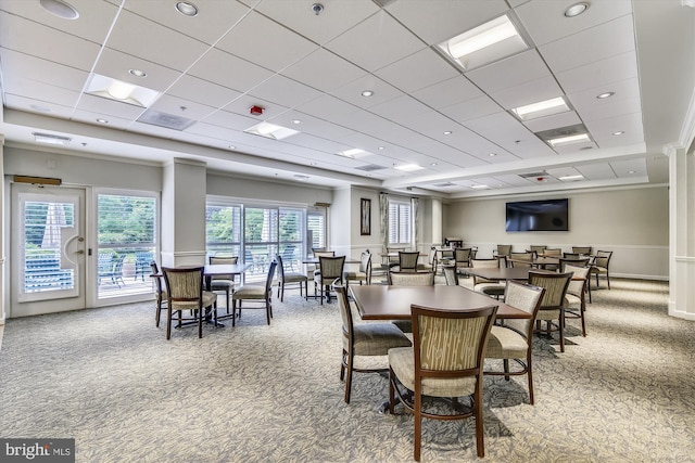 dining area with plenty of natural light, carpet floors, and a drop ceiling