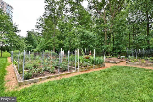 view of yard with fence and a vegetable garden