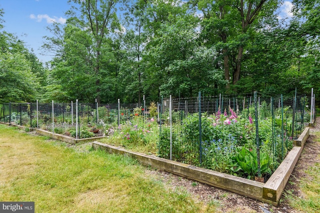 view of yard with fence and a vegetable garden