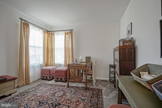 office featuring carpet floors and baseboards